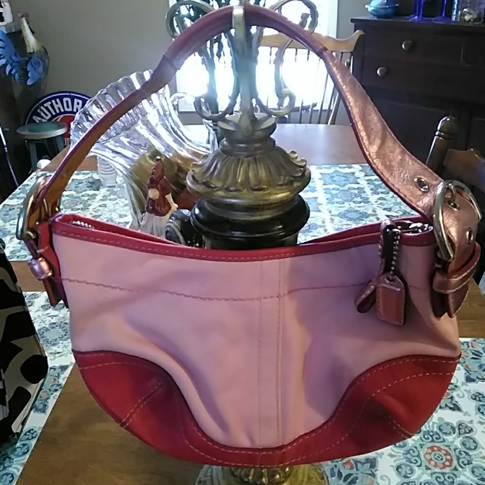 Small Coach purse